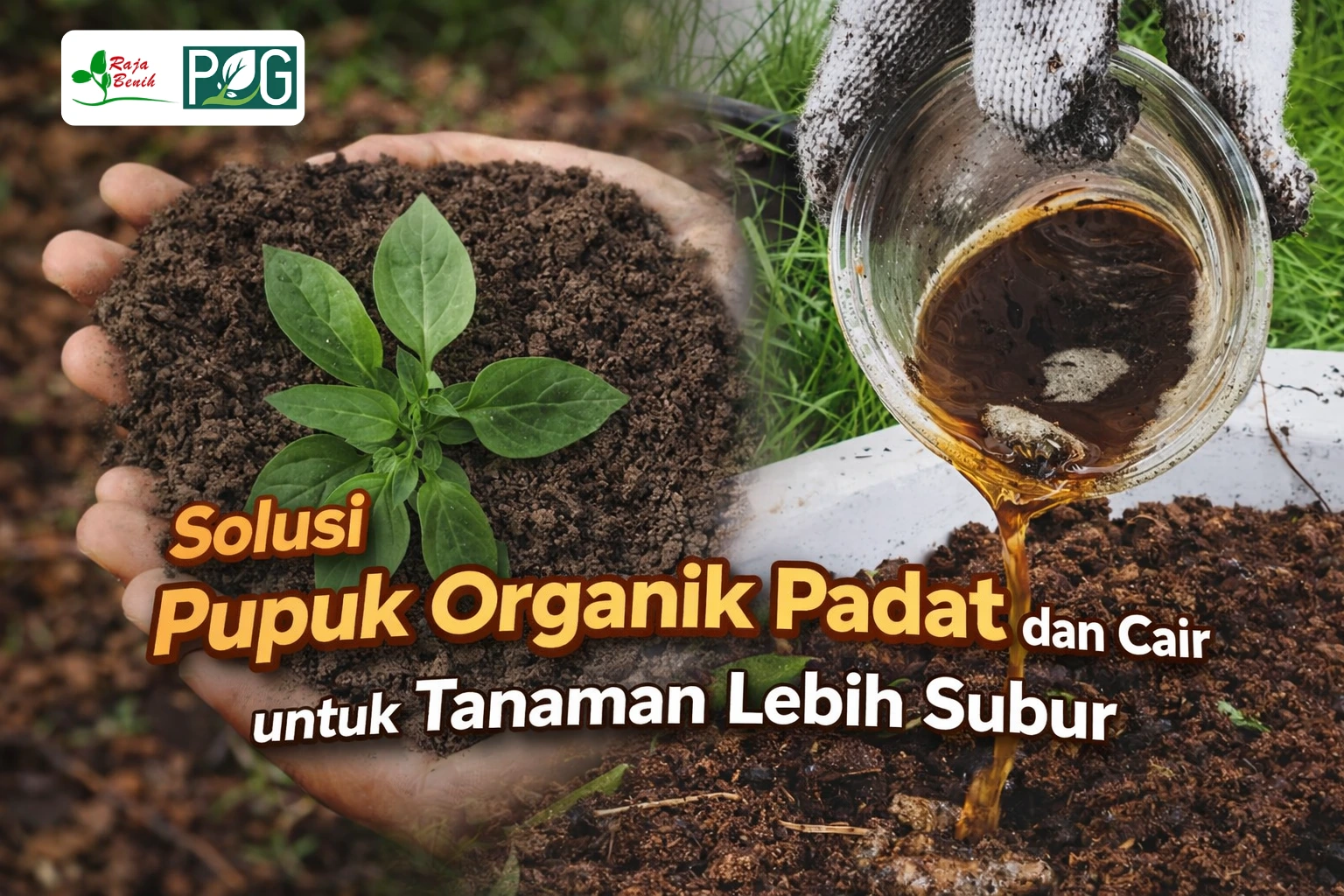Solusi Pupuk Organik Padat dan Cair untuk Tanaman Lebih Subur